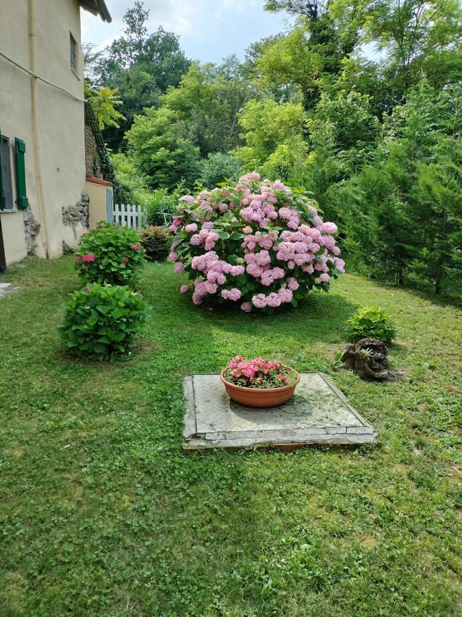 Casa Relax Immersa Nel Verde Della Natura Casalborgone المظهر الخارجي الصورة